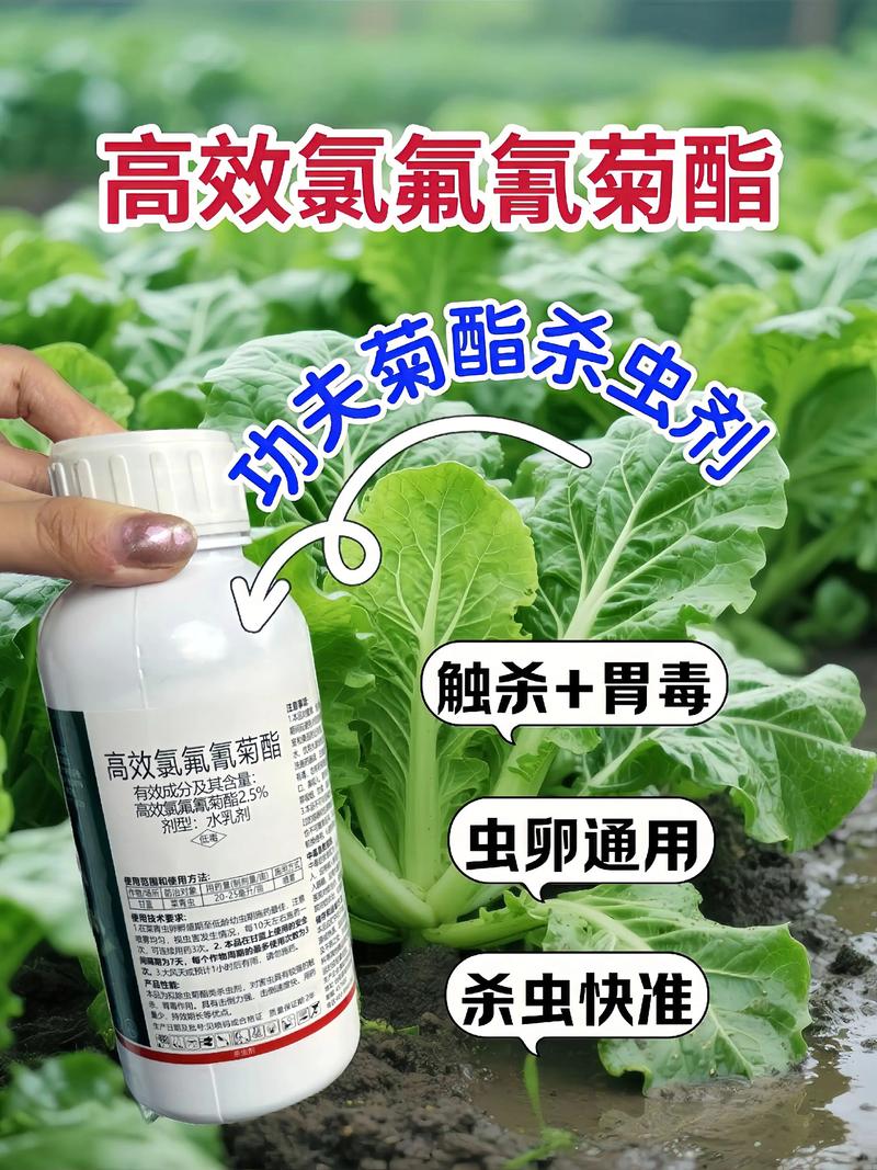 眉山代生中心:农药对供卵代生妈妈的危害